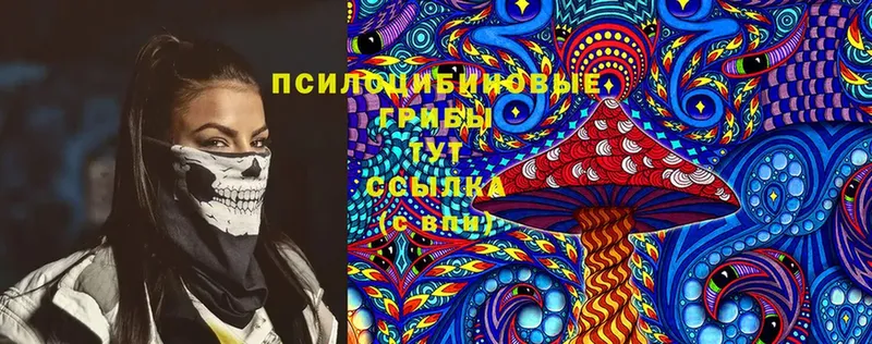 Галлюциногенные грибы Cubensis  площадка официальный сайт  Лихославль  где купить  